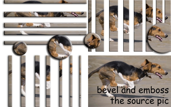 Creation of Playtime at the Kennel: Step 1